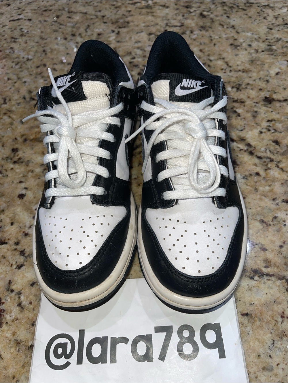 Nike Dunk Black/White Low-Top Sneakers